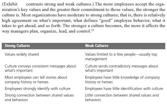 Organizational Culture Constraints and Challenges 8